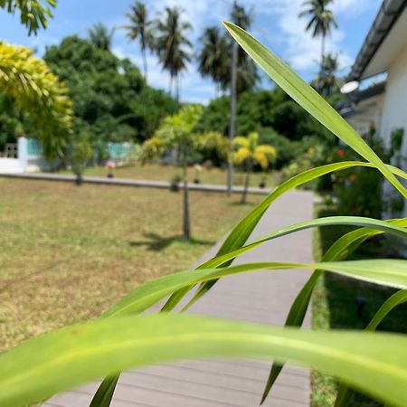 Cloud9 Holiday Cottages Pantai Cenang  Exteriér fotografie