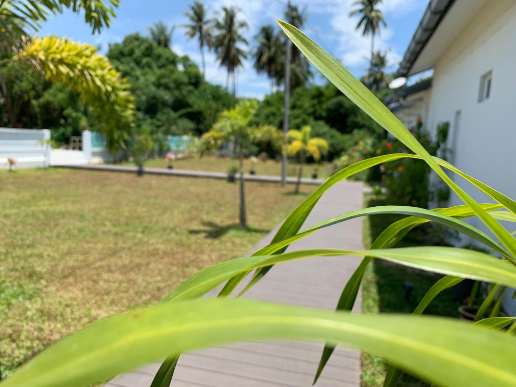 Cloud9 Holiday Cottages Pantai Cenang  Exteriér fotografie