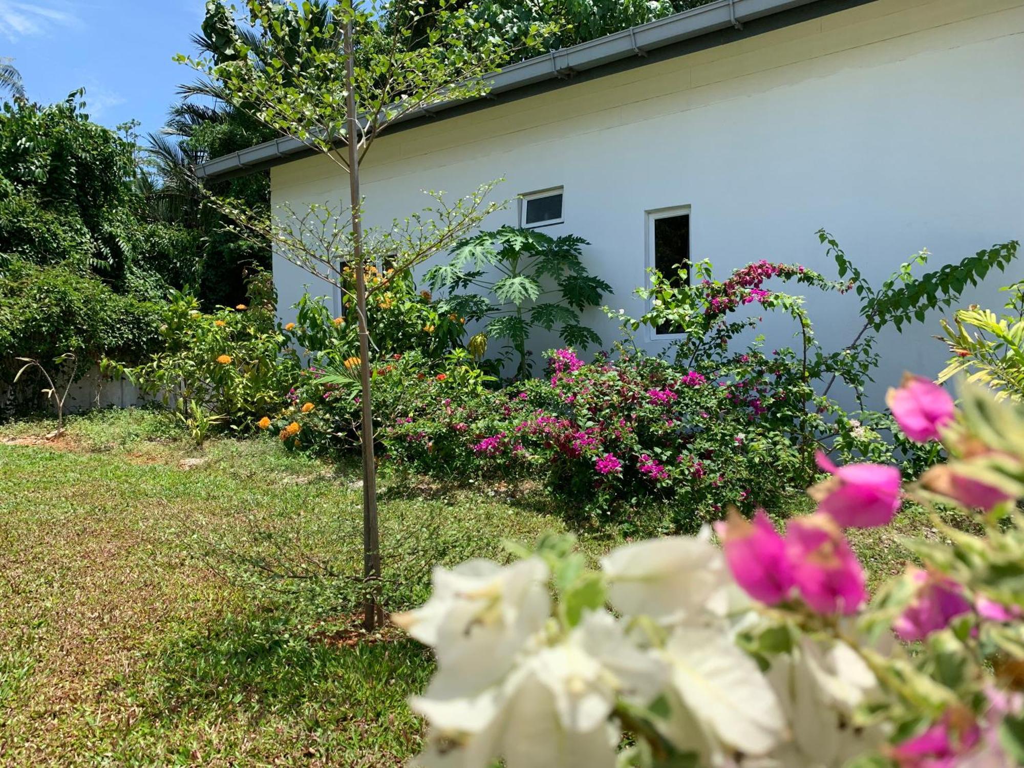 Cloud9 Holiday Cottages Pantai Cenang  Exteriér fotografie