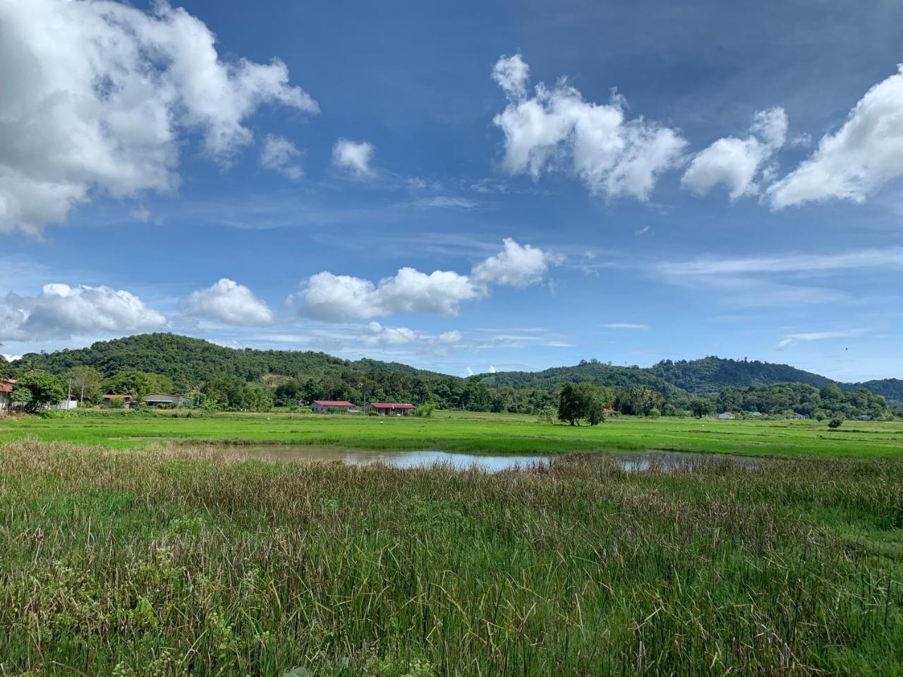 Cloud9 Holiday Cottages Pantai Cenang  Exteriér fotografie