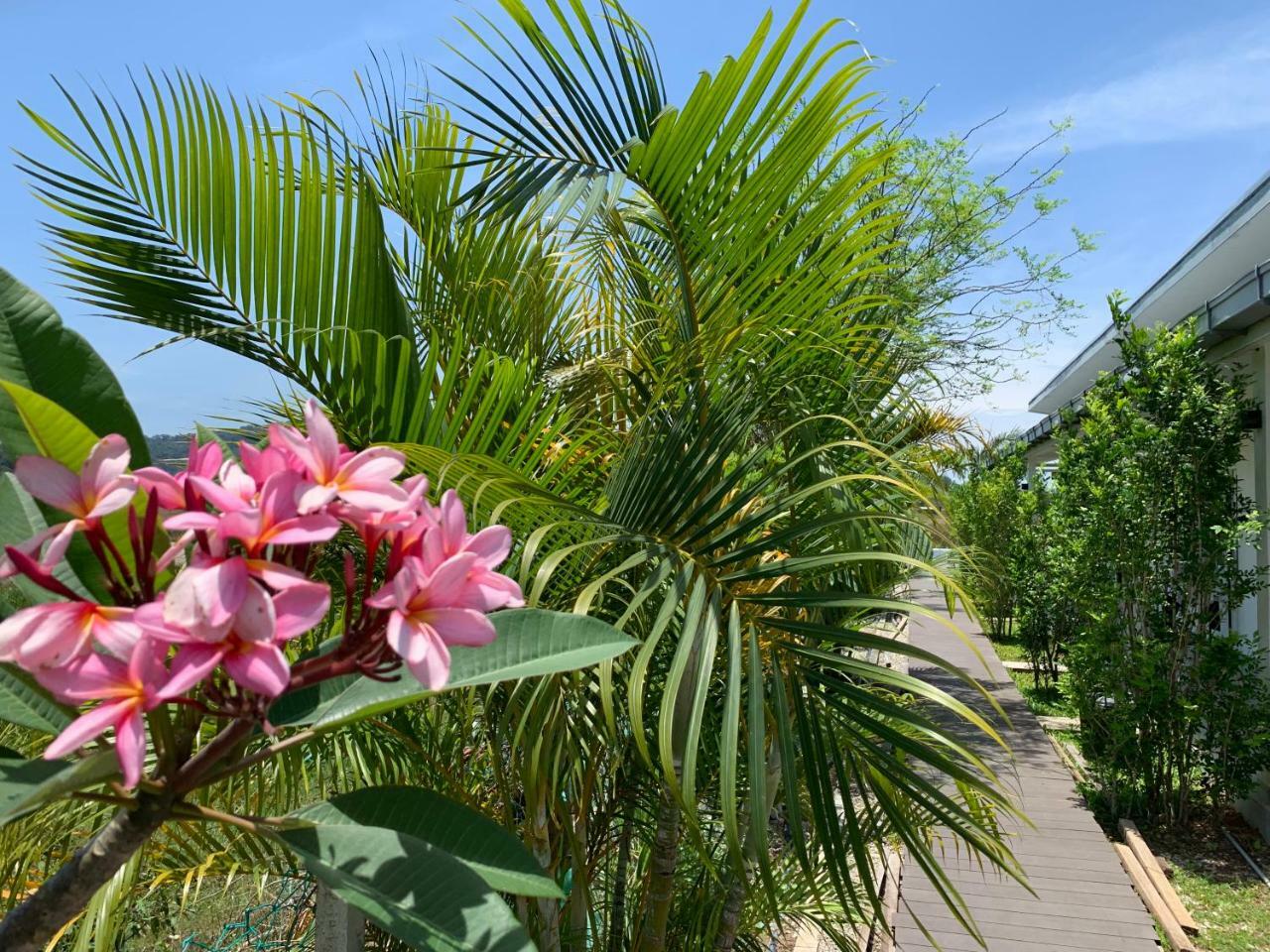 Cloud9 Holiday Cottages Pantai Cenang  Exteriér fotografie